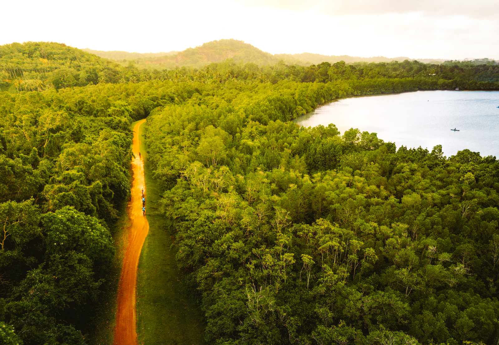 The Paddy & Lake Trail