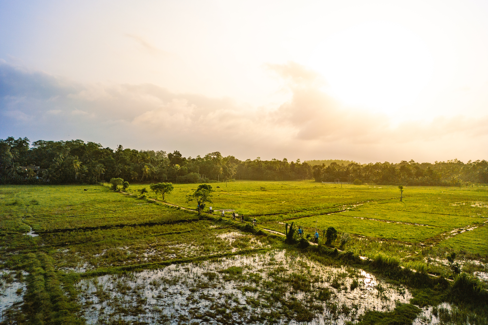 The Paddy Trail